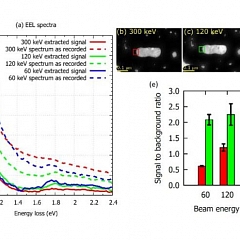 Influence of experimental conditions on localized surface plasmon resonances measurement by STEM-EELS