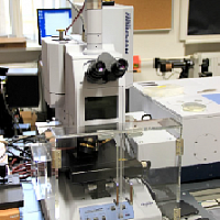 Vacuum FTIR Vertex70v + microscope Hyperion 3000 KIT - polarizors