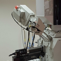 High resolution Scanning Electron Microscope FEI Verios 460L