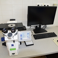 Inverted light microscope Zeiss Axio Observer Z1m