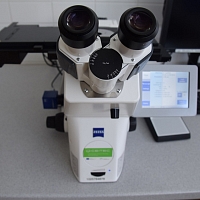 Inverted light microscope Zeiss Axio Observer Z1m