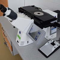 Inverted light microscope Zeiss Axio Observer Z1m