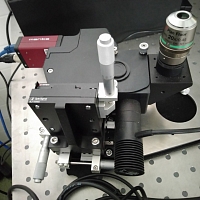 DHR2 Rheometer